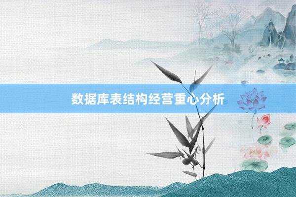 数据库表结构经营重心分析