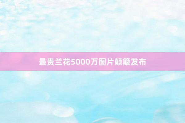 最贵兰花5000万图片颠簸发布